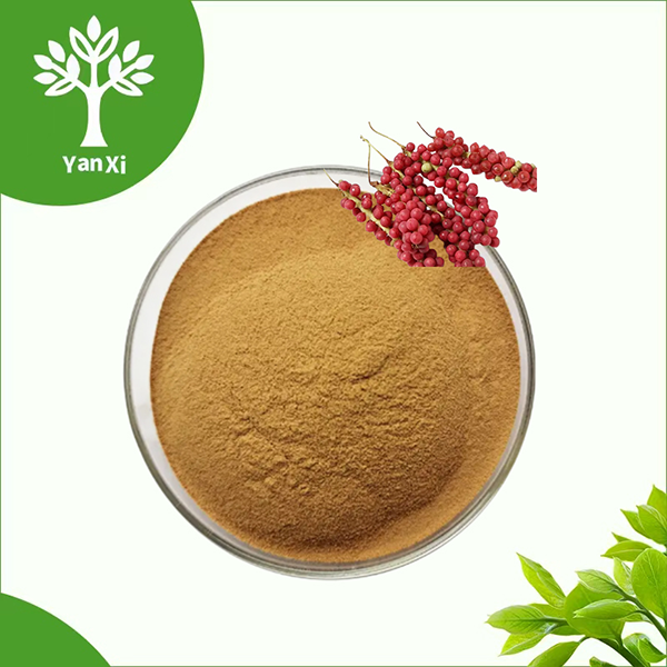 Schisandra Berry Extract Powder Schisandra Berry Extract Powder